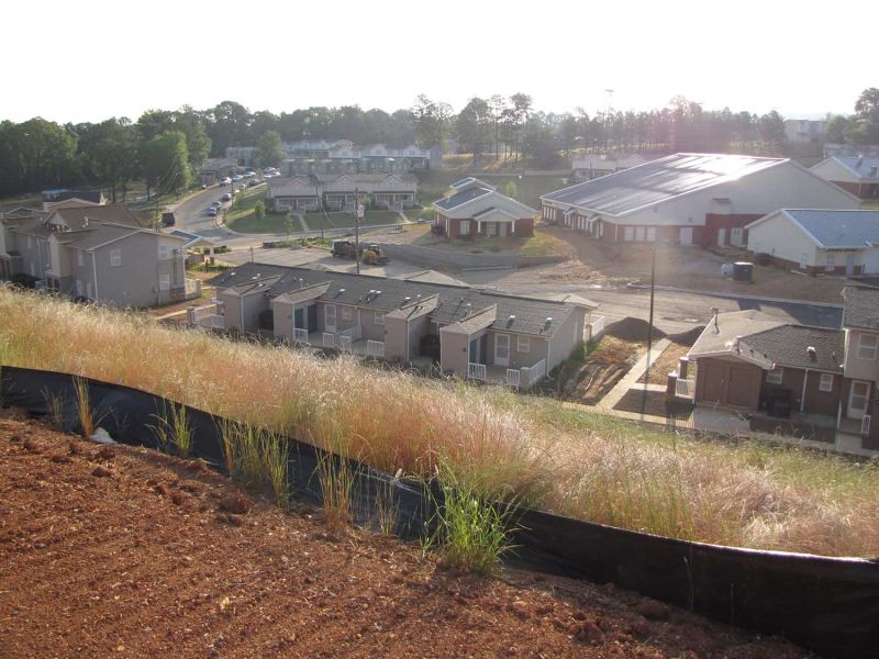 cooper green neighborhood seen from atop a hill